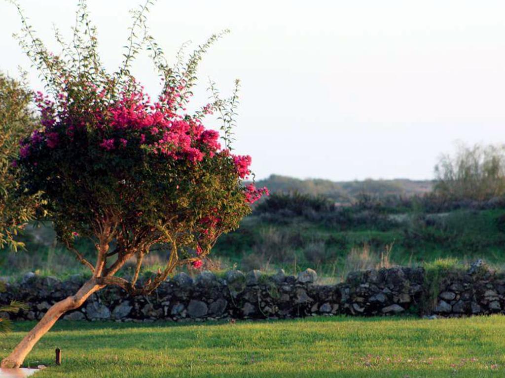Golden Club Cabanas Cabanas De Tavira Εξωτερικό φωτογραφία